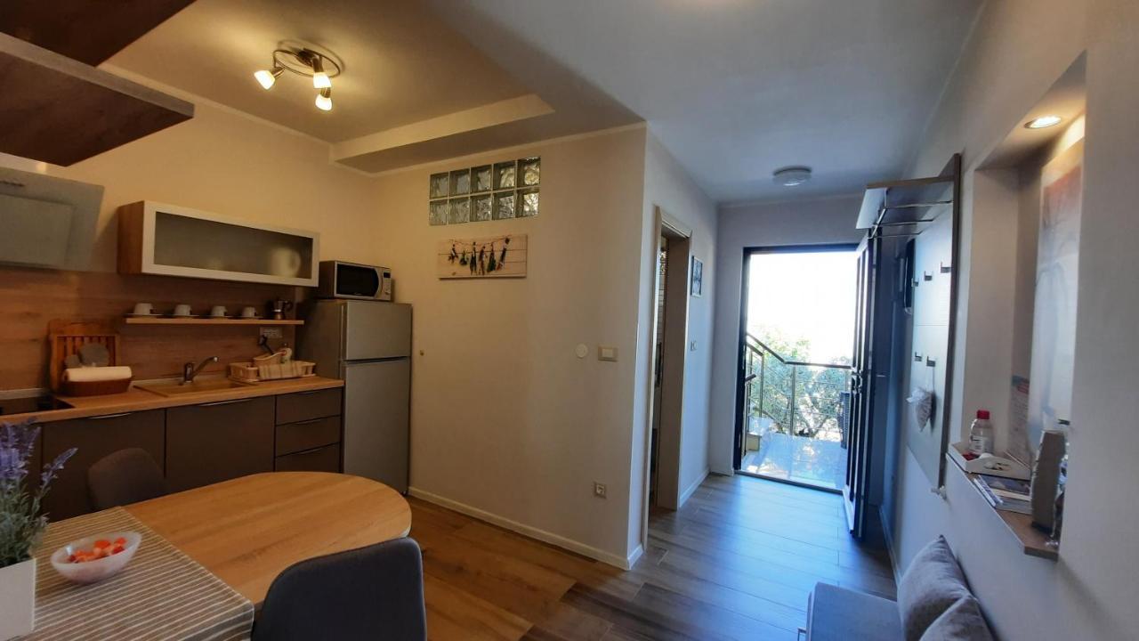 Apartments Alea Ровин Екстериор снимка